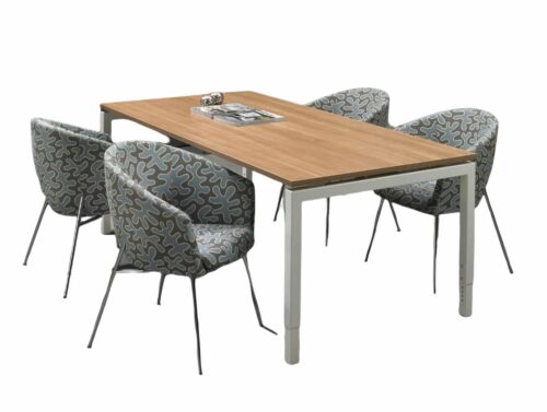 Vergadertafel Q-line (200x100)
