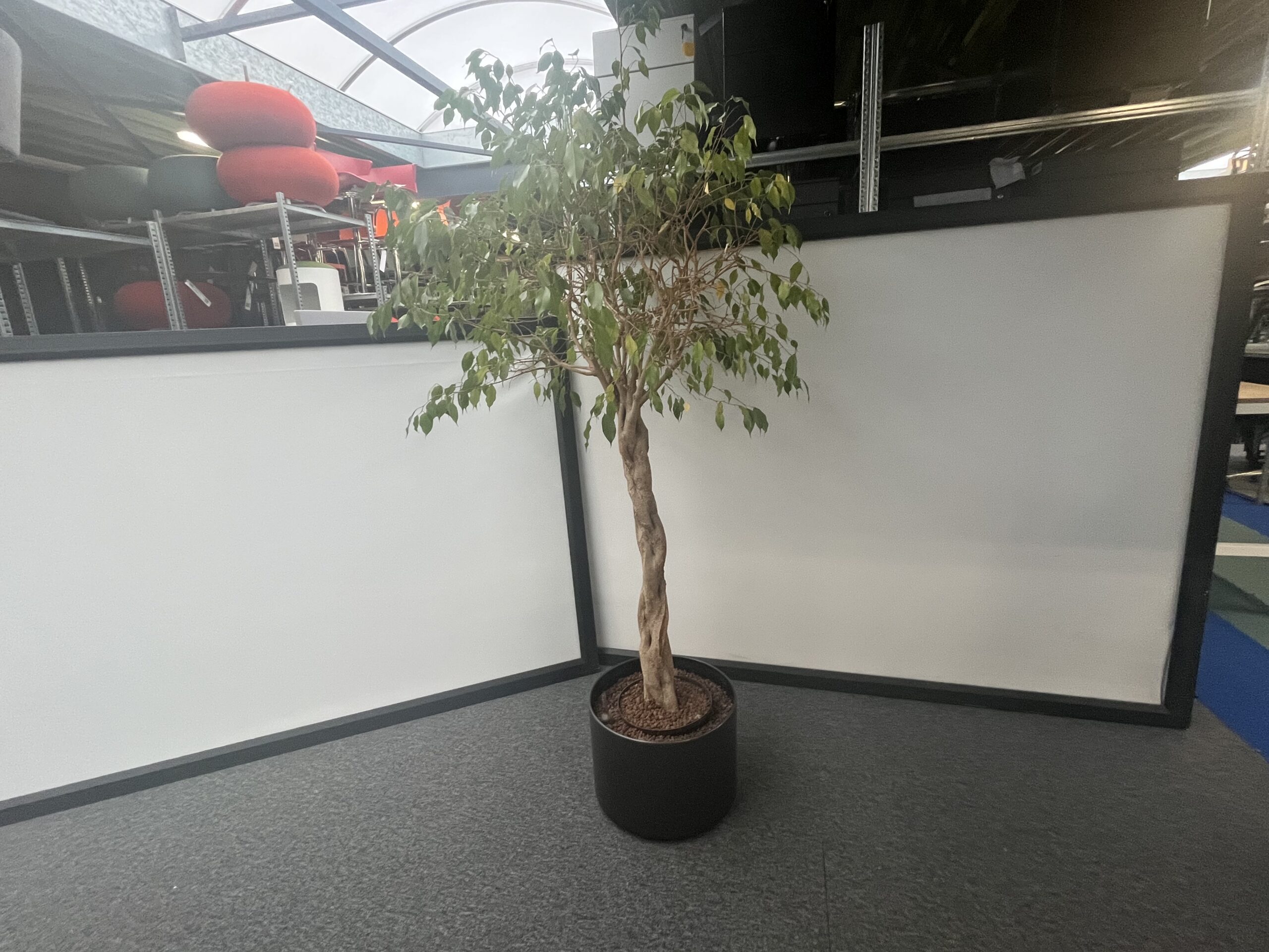 Plant + plantenbak - E00087